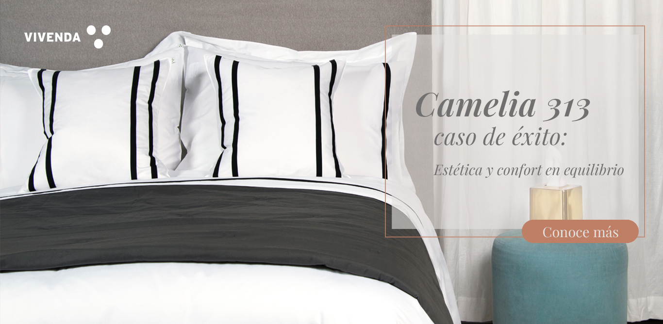 Caso de éxito: Camelia 313 y la Colección Visión de Vivenda