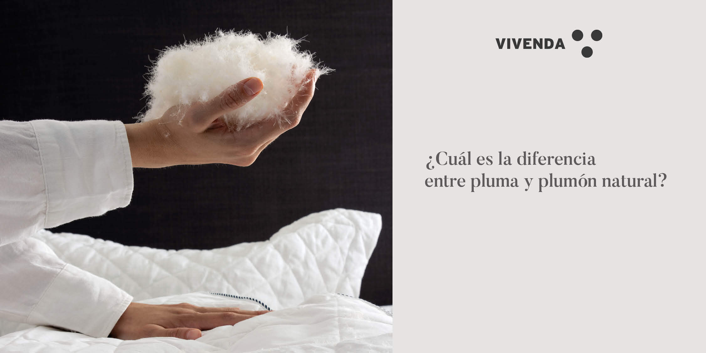 ¿Cuál es la diferencia entre pluma y plumón de ganso?