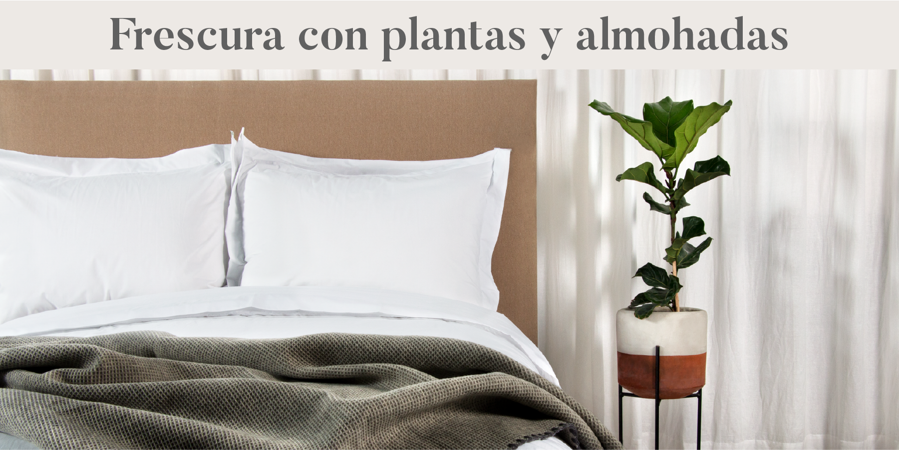 Diseñar habitaciones más frescas con plantas y almohadas